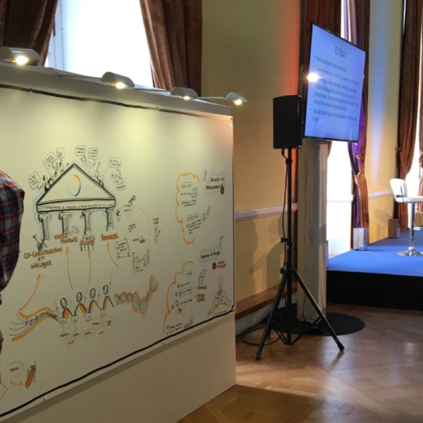 FACILITATION GRAPHIQUE EN DIRECT